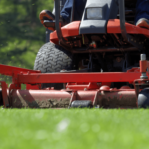 Lawn Care Service